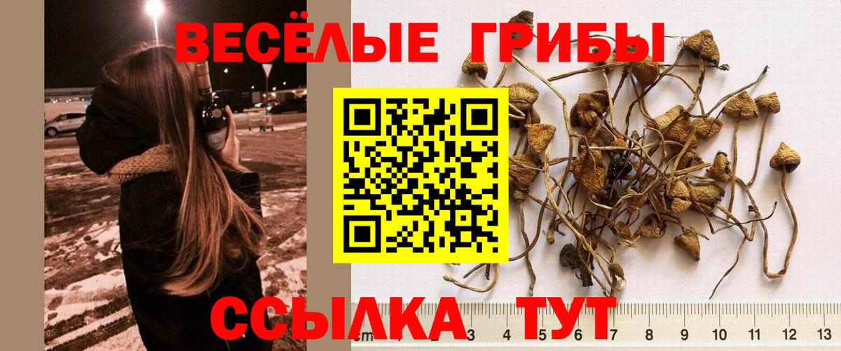 где продают наркотики  Вход с VPN  Кудымкар  Галлюциногенные грибы ЛСД 